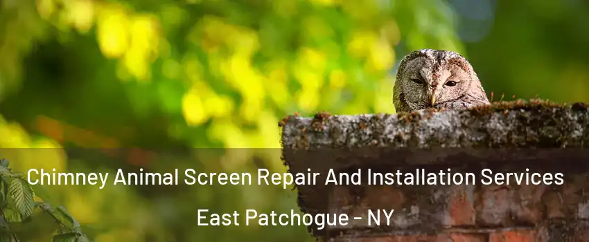  Chimney Animal Screen Repair And Installation Services East Patchogue - NY