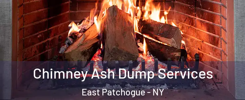  Chimney Ash Dump Services East Patchogue - NY