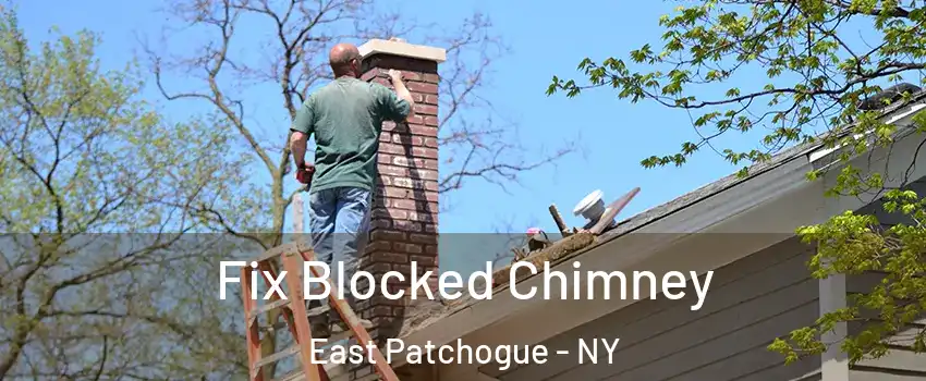  Fix Blocked Chimney East Patchogue - NY