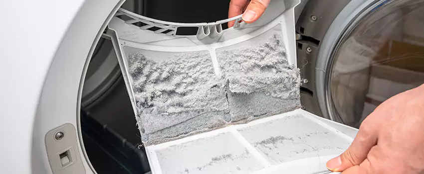 Best Dryer Lint Removal Company in East Patchogue, New York