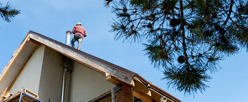Birds Removal Contractors from Chimney in East Patchogue, NY