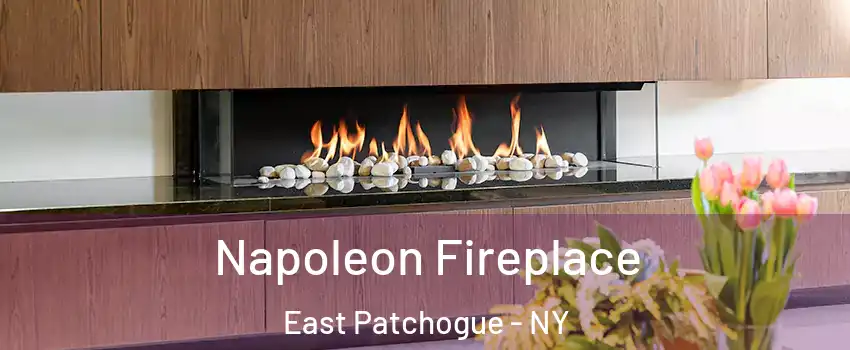  Napoleon Fireplace East Patchogue - NY